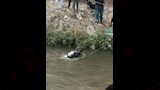 الانقاذ النهري يبحث عن الطفل