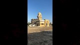 من فيلم أسد 9