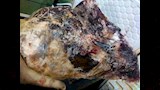 ضبط 3 أطنان لحوم ودواجن وأسماك فاسدة (4)