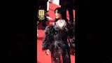 هيفاء وهبي على ريد كاربت مهرجان كان السينمائي (7)
