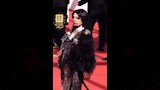 هيفاء وهبي على ريد كاربت مهرجان كان السينمائي (6)