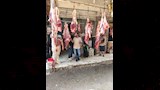 ضبط 6 أطنان لحوم وهياكل دواجن فاسدة  (6)