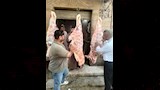 ضبط 6 أطنان لحوم وهياكل دواجن فاسدة  (3)