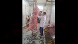 استعدادات مكثفة لطب بيطري أسيوط لاستقبال عيد الأضحى (3)