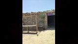 حملة طرق الأبواب (13)