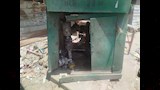 واقعة كسر منظم الغاز الطبيعي بالمنصورة (2)