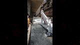  السيطرة على تسرب غاز بالمنصورة إثر حادث تصادم   (7)
