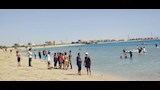 شواطئ طور سيناء