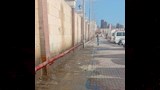 رفع كفاءة الموقف الجديد في الإسكندرية (6)