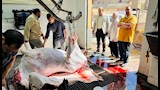 بـ 24 مجزراً.. الطب البيطري بالدقهلية يعلن الطوارئ لاستقبال أضاحي العيد