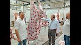 استعدادات الطب البيطري فى الدقهلية لعيد الاضحى  (6)