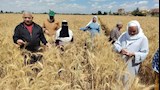 استرداد أكثر من 42 ألف متر ببرج العرب (4)