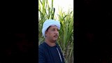 الأقصر تودع 4 من رجال المصالحات بإسنا (2)_6