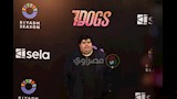 السيناريست أيمن وتار (1)