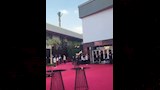 كواليس العرض الخاص لفيلم 7 Dogs (4)