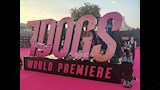 العرض الخاص لـ فيلم 7Dogs قبل طرحه في السينما  
