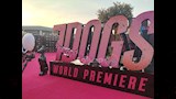 العرض الخاص لـ فيلم 7Dogs قبل طرحه في السينما  (4)