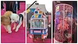 عربة كشري وسر الـ بينك ليدي في العرض الخاص لـ فيلم 7Dogs