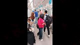 محطات مونوريل شرق النيل (7)