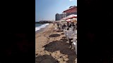 شواطئ الإسكندرية اليوم (7)