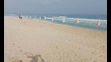 شواطئ الإسكندرية اليوم (5)
