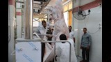 عمليات الذبح