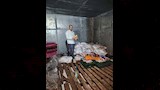 ضبط 2.5 طن دواجن وكبدة فاسدة خلال حملة تموينية بديروط (12)