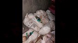 ضبط 2.5 طن دواجن وكبدة فاسدة خلال حملة تموينية بديروط (10)