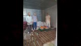 ضبط 2.5 طن دواجن وكبدة فاسدة خلال حملة تموينية بديروط (3)