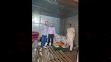 ضبط 2.5 طن دواجن وكبدة فاسدة خلال حملة تموينية بديروط (2)