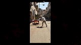 تحصين الكلاب الضالة ضد السعار فى الدقهلية (1)