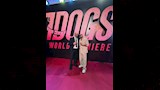حسام الحسيني في العرض الخاص لفيلم 7Dogs (3)