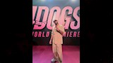حسام الحسيني على البينك كاربت