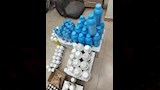ضبط محلات غير مرخصة تروج مبيدات مغشوشة ومحظورة (3)