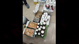 ضبط محلات غير مرخصة تروج مبيدات مغشوشة ومحظورة (1)