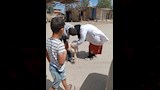جانب من تحصين الكلاب