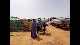 توريد 191 ألفًا و459 طن قمح محلي منذ بدء الموسم وحصاد 204 آلاف و932 فدانًا (2)