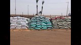 توريد 191 ألفًا و459 طن قمح محلي منذ بدء الموسم وحصاد 204 آلاف و932 فدانًا (5)