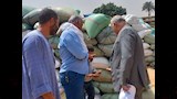 توريد 191 ألفًا و459 طن قمح محلي منذ بدء الموسم وحصاد 204 آلاف و932 فدانًا (3)