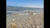 انحسار مياه البحر