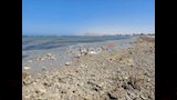 انحسار المياه  (3)