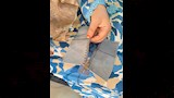 تصنيع الجلود