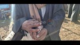 اسواق الاغنام والخراف باسيوط  (24)