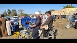 اسواق الاغنام والخراف باسيوط  (41)