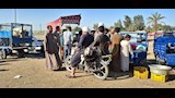 اسواق الاغنام والخراف باسيوط  (39)