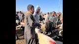 اسواق الاغنام والخراف باسيوط  (37)