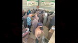 الطماطم بـ25 جنيه والبطاطس بـ7.5 جنيهات في منافذ الوادي الجديد