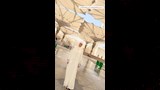 درة بالحجاب