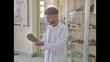 طلاب القطاع الصحي جامعة القاهرة الأهلية
