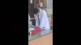 طلاب القطاع الصحي جامعة القاهرة الأهلية
